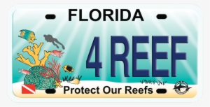 Protect Our Reef Plate - Florida For Bernie Large Tote Bag, Natural, Large #377122
