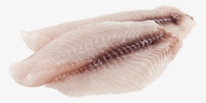 Tilapia Fillets - Fish #377628