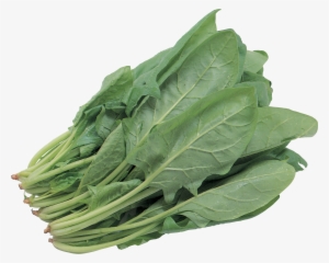 Green Vegetable Png #377666