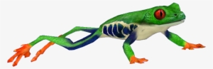 Red Eyed Tree Frog - Red Eyed Tree Frog Png #377859