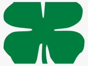 Picture 4 Leaf Clover - Four-leaf Clover #377878 Picture 4 Leaf Clover - Four-leaf Clover #377878