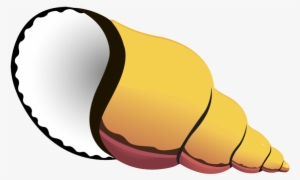 Seashell Free Clip Art Sea Shells Clipart - Hermit Crab Shell Clipart #377897