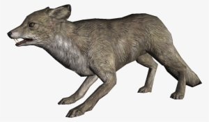 Png Snow Fox #378144