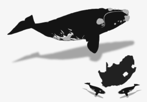 October - Nelson Rholihlahla Mandela: Reflections Through The #378454 October - Nelson Rholihlahla Mandela: Reflections Through The #378454