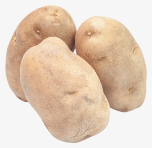 Potato Potato Png Image - Potato #378713