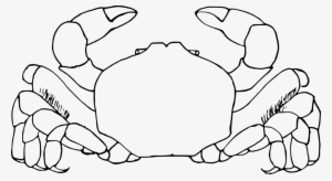White Clipart Crab Ocean Animal Pictures Www Picturesboss - Clip Art #378863