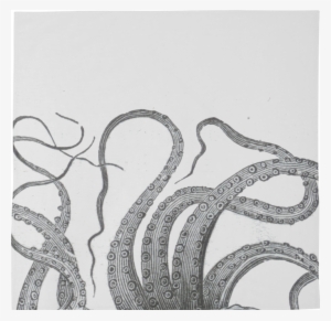 00 Design By Igalaxy - Octopus Art #378885