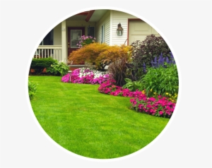 Services Include - - Amazing Lawns And Landscapes #3700001