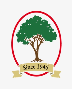 Tree & Lawn Care - Fitzwater Tree And Lawn Care #3700305