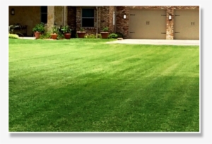 Cut Lawn #3700797