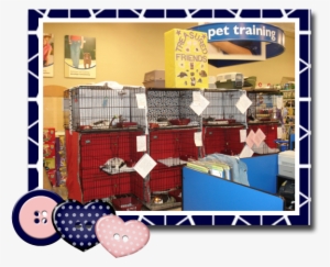 Dogs - Indiana #3706447