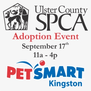 17 Adoption Event - Toys R Us Lazer Bot #3706686