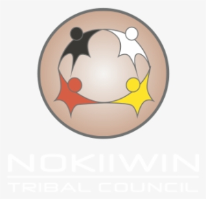 Nokiiwin Tribal Council - 9th Airlift Squadron #3707174