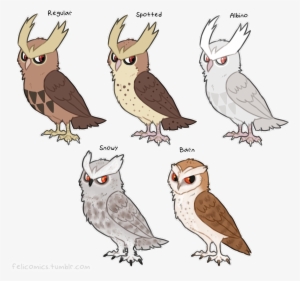 B38 - Noctowl Variations #3708183