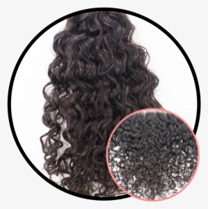 Tropicurl - Lace Wig #3708995