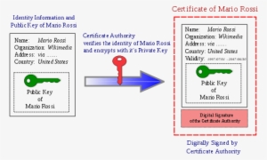 Obtain A Digital Certifacte From An Authority Digital - Public Key Certificate #3712293