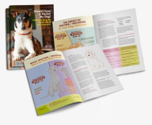 Tap To Expand - Dog #3713772