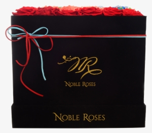 Jetstream Large Arrangement - Box #3714324