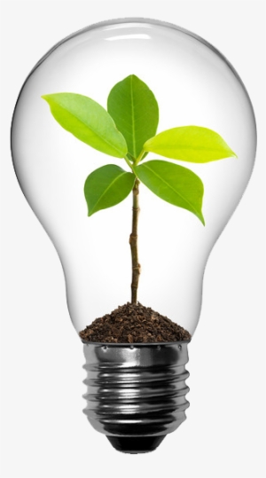 Save Energy - Save Earth - Light Bulb With Plant #3715751