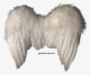 Share This Image - Angel Wings Psd #3716201