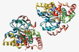 320 × 213 Pixels - Sult1a3 #3717248