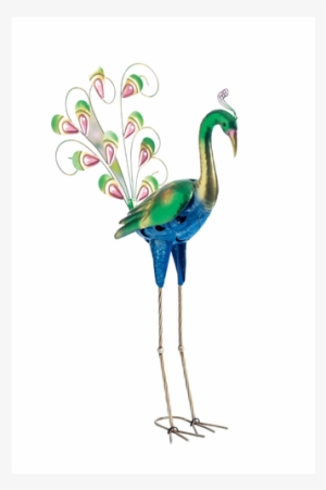 Pink Flamingo Bird Free Transparent Image Hd Clipart - Flamingo Png ...