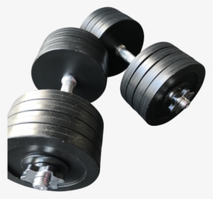 Fake Dumbbell Weights - Fake Dumbbell #3718828