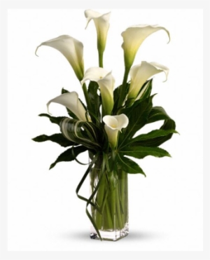 Stately Callas - White Calla Lily Flower Bouquet #3719284