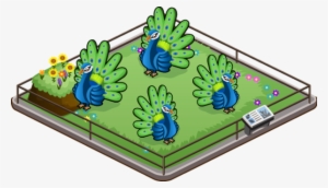 Peacock Family - Lawn #3719730