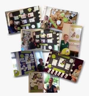 Paw Collage Display - Collage #3719826