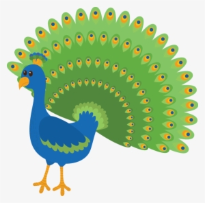 Peacock - Peacock P #3719850 Peacock - Peacock P #3719850