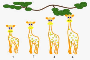 Lamarckian Inheritance- Giraffes - Lamarckism #3719998