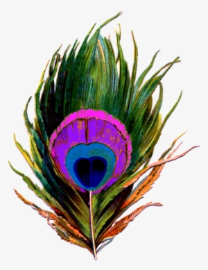 Peacock-feather Png - Png Mayur Pankh #3720222