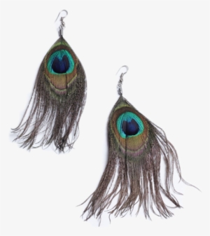 African Peacock Feather Hook Earrings - Earrings #3720283