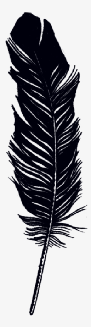 Feather - Tattly Temporary Tattoos - Remix One - Set Of 8, Black #3720284