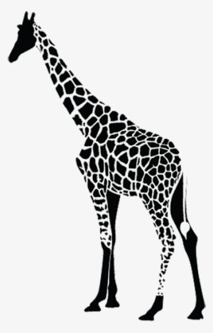 Enter The Black Giraffe Dancing Adventure Raffle To - Giraffe Black And White Png #3720314