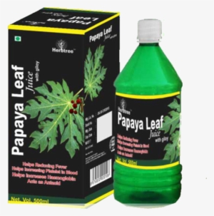 Papaya Leaf Juice With Giloy - Patanjali Papaya Leaf Juice #3722377