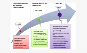 Evolutionary History Of The Scientific Research On - Science #3723221