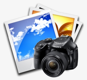 Travel, Tour, Tourist Place , Food, Map Simple Egg - Sony Ilce-3500j 20.1 Mp Dslr Camera (black) #3723355