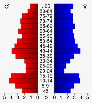 Usa Big Stone County, Minnesota Age Pyramid - Population Pyramid Of Palm Beach County #3723631