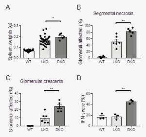 Nataraja, None - Diagram #3723662
