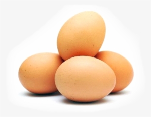 Hatching Eggs - Egg White 100 Grams #3723736