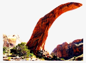 Report Abuse - Pixlr O Matic #3723982