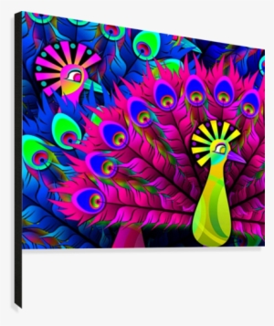 Abstract Colorful Feathers 1 Osg Canvas Print - Abstract Peacock Shower Curtain #3724489