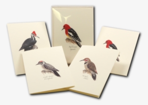 Shopping Cart -  -  #3726030