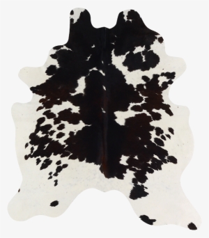 Tricolor - Tree #3726097