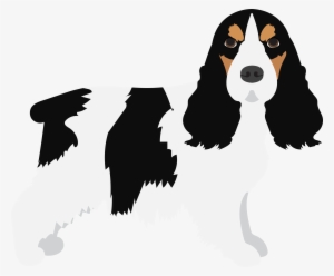 English Cocker Spaniel #3726171