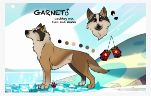 Yes - Norwegian Lundehund #3726862