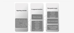 Integrative Model In An Antimicrobial Adjuvant Drug - Architecture #3726955