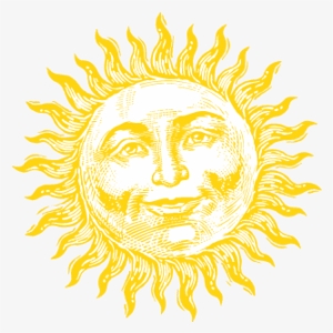 Waterpik Logo - Oral Irrigator #3727100